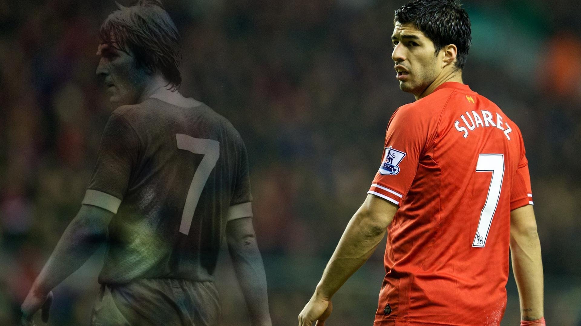 荷兰马术协会与澳大利亚马术协会签署人才交流协议，促进双向发展。